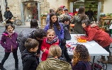 La Marató 2016 a La Bisbal amb el Tangram